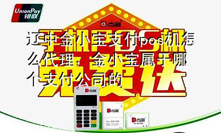 辽中金小宝支付pos机怎么代理，金小宝属于哪个支付公司的