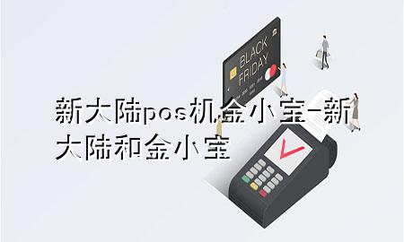 新大陆pos机金小宝-新大陆和金小宝
