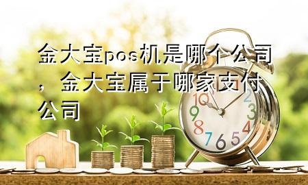 金大宝pos机是哪个公司，金大宝属于哪家支付公司