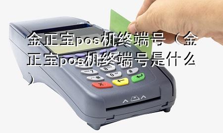金正宝pos机终端号(金正宝pos机终端号是什么)
