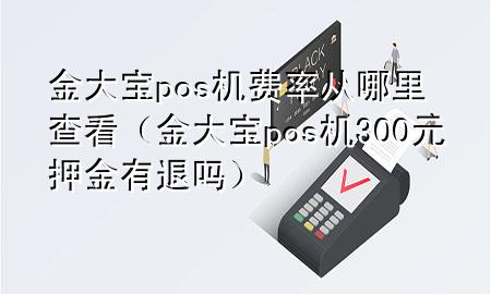 金大宝pos机费率从哪里查看(金大宝pos机300元押金有退吗)