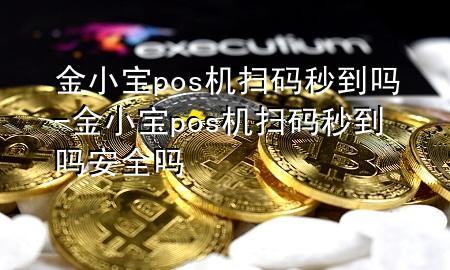 金小宝pos机扫码秒到吗-金小宝pos机扫码秒到吗安全吗
