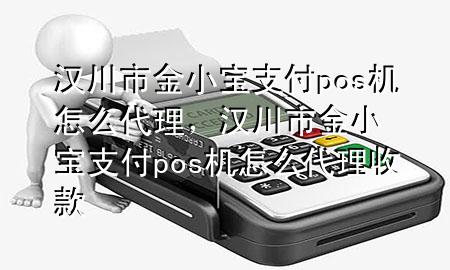 汉川市金小宝支付pos机怎么代理,汉川市金小宝支付pos机怎么代理收款