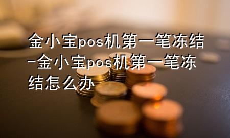 金小宝pos机第一笔冻结-金小宝pos机第一笔冻结怎么办