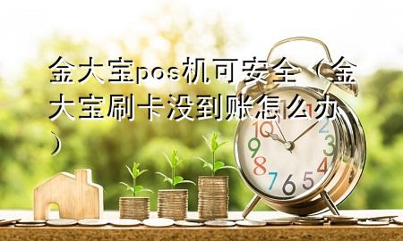 金大宝pos机可安全(金大宝刷卡没到账怎么办)