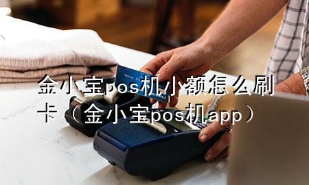 金小宝pos机小额怎么刷卡（金小宝pos机app）