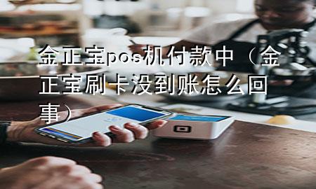 金正宝pos机付款中（金正宝刷卡没到账怎么回事）