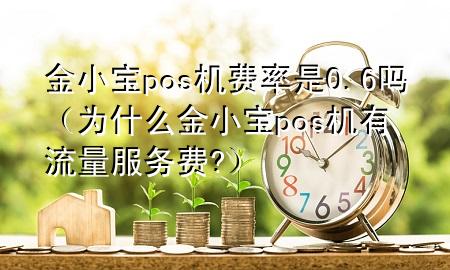 金小宝pos机费率是0.6吗(为什么金小宝pos机有流量服务费?)