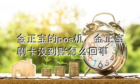 金正宝的pos机,金正宝刷卡没到账怎么回事
