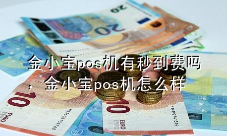 金小宝pos机有秒到费吗,金小宝pos机怎么样