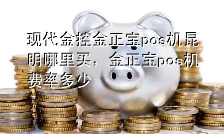 现代金控金正宝pos机昆明哪里买，金正宝pos机费率多少