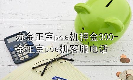 办金正宝pos机押金300-金正宝pos机客服电话
