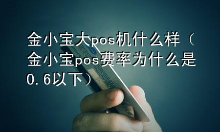 金小宝大pos机什么样(金小宝pos费率为什么是0.6以下)