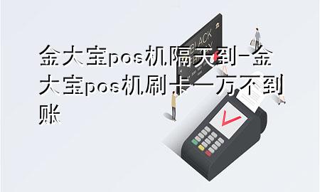 金大宝pos机隔天到-金大宝pos机刷卡一万不到账