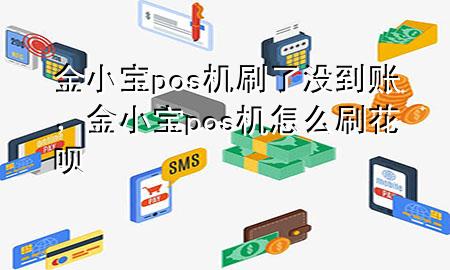 金小宝pos机刷了没到账,金小宝pos机怎么刷花呗