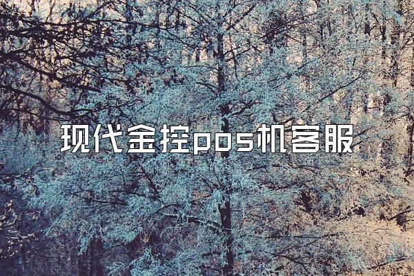 现代金控pos机客服