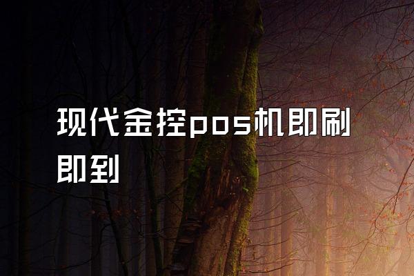 现代金控pos机即刷即到