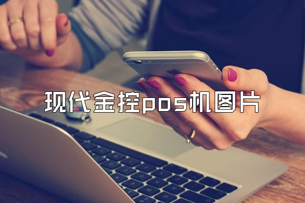 现代金控pos机图片
