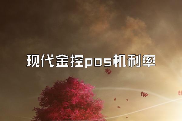 现代金控pos机利率