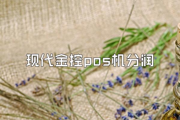 现代金控pos机分润