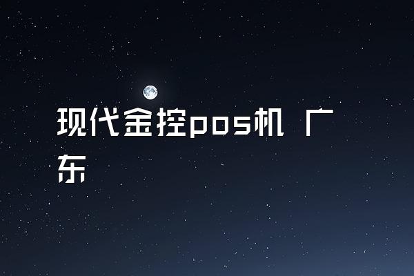 现代金控pos机 广东