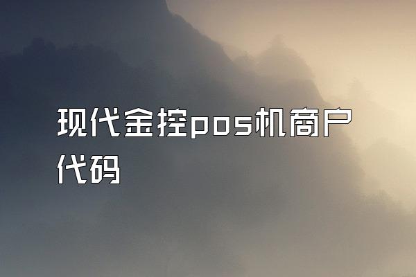 现代金控pos机商户代码