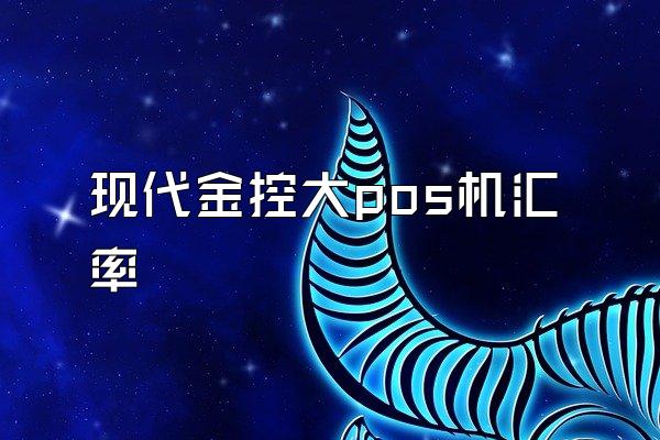 现代金控大pos机汇率