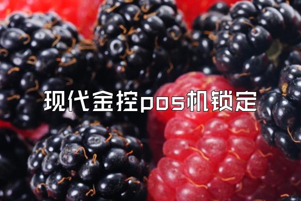现代金控pos机锁定