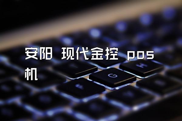安阳 现代金控 pos机