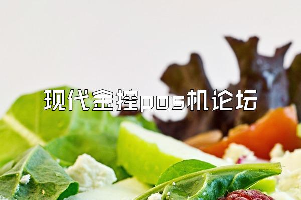 现代金控pos机论坛