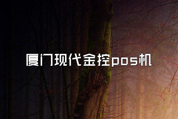 厦门现代金控pos机