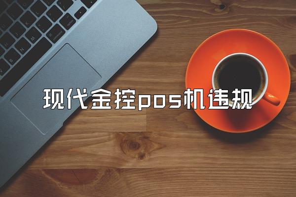 现代金控pos机违规