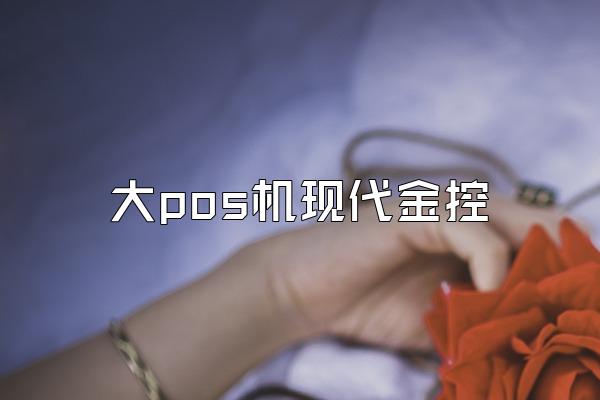 大pos机现代金控