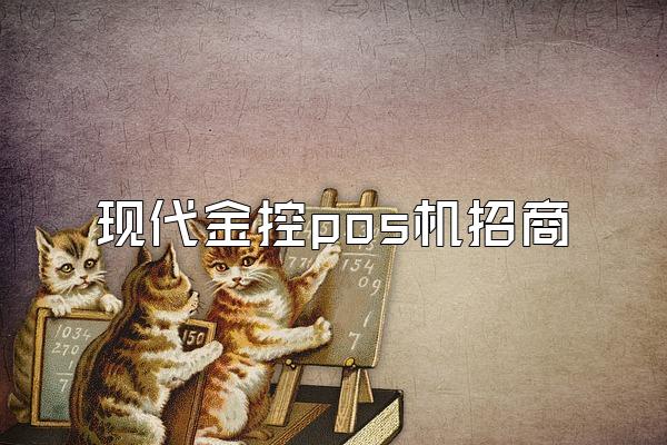 现代金控pos机招商