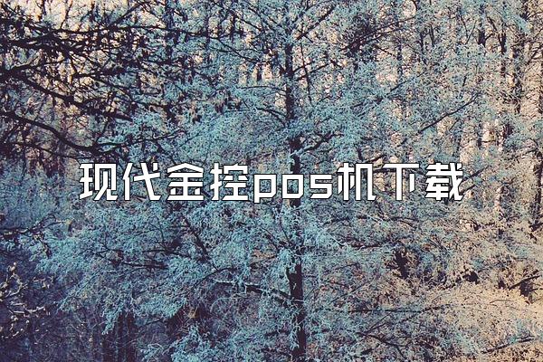 现代金控pos机下载
