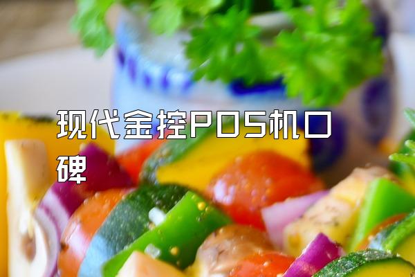 现代金控POS机口碑