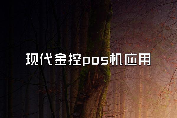现代金控pos机应用