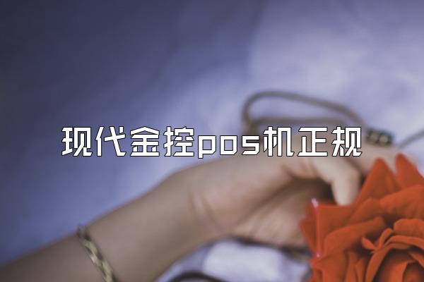 现代金控pos机正规