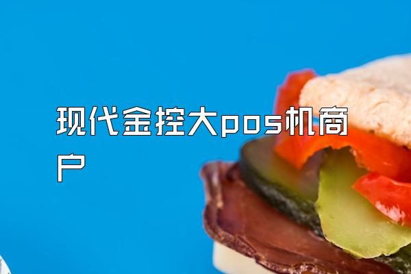 现代金控大pos机商户