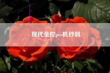 现代金控pos机到账2次 现代金控pos机秒到
